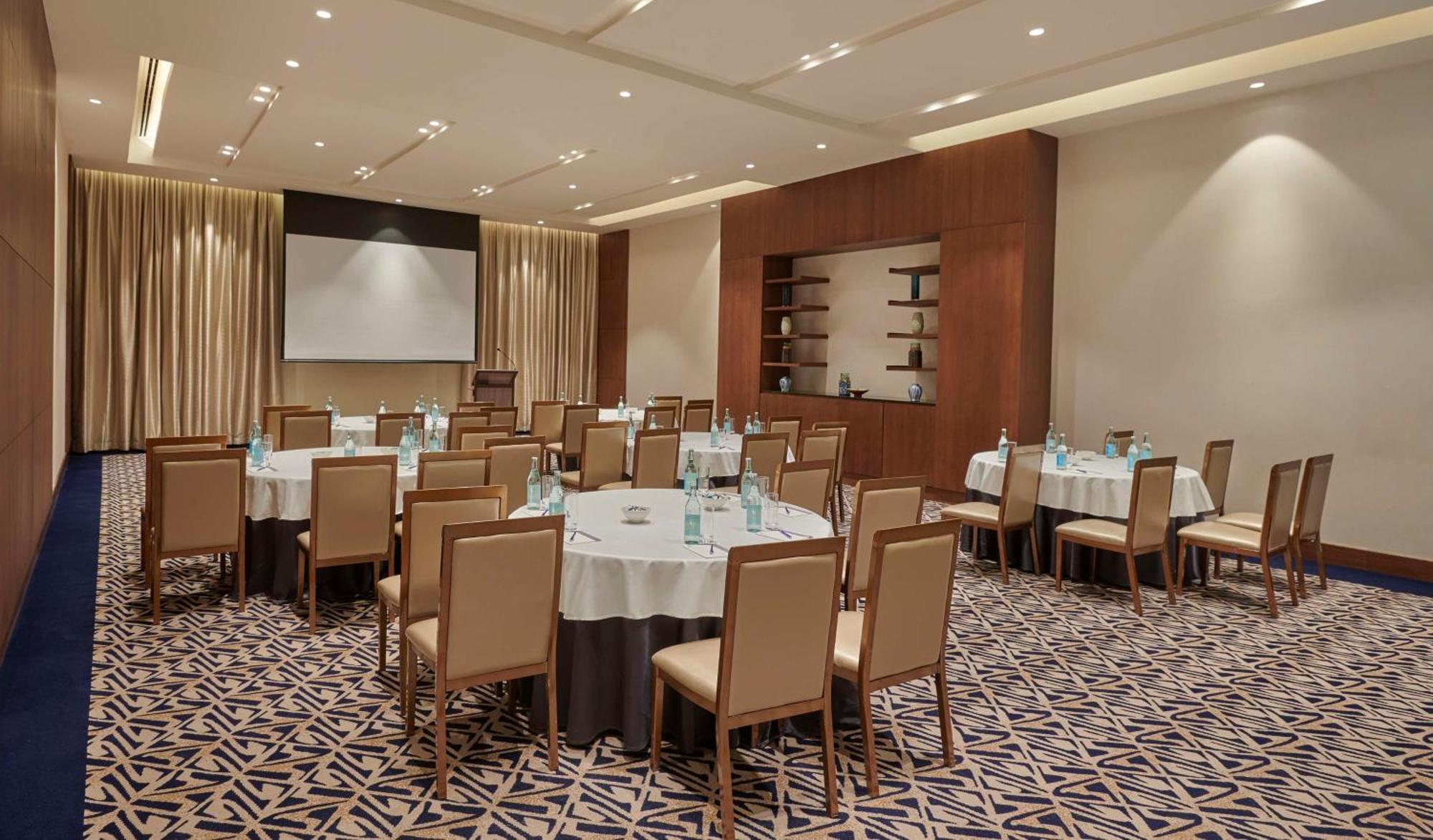 מלון Hyatt Regency אדיס אבבה מראה חיצוני תמונה